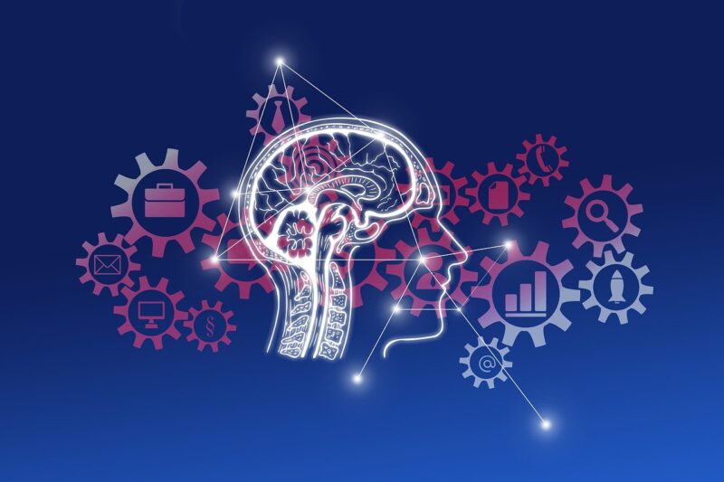 artificial intelligence, brain, think, steering, computer science, electrical engineering, technology, developer, computer, man, intelligent, controlled, printed circuit board, circuit board, information, data, function, microprocessor, person, data exchange, digital, communication, network, artificial intelligence, artificial intelligence, artificial intelligence, artificial intelligence, artificial intelligence